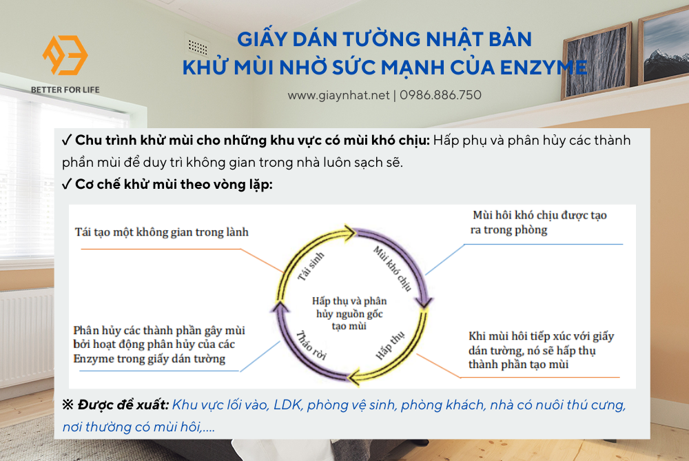 Tính năng khử mùi nhờ sức mạnh của Enzyme - GIẤY DÁN TƯỜNG NHẬT BẢN NIBE